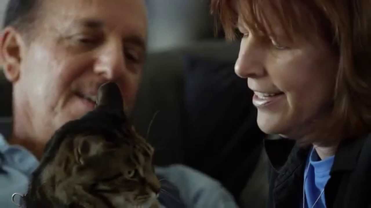 Close-up of two adults with a tabby cat in the foreground.